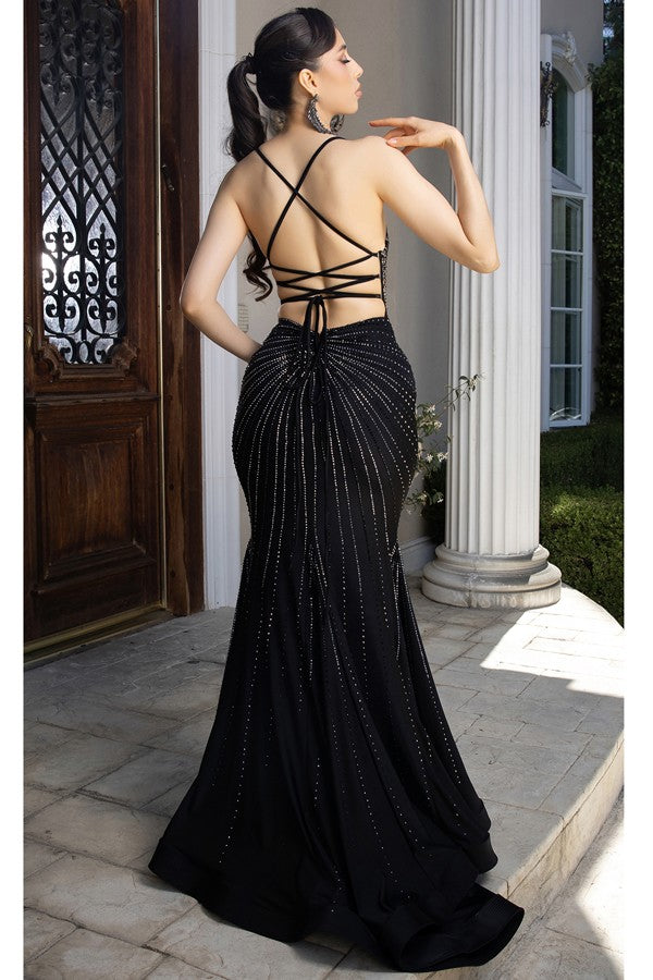 Sleeveless Embellished Illusion Top Mermaid Dress