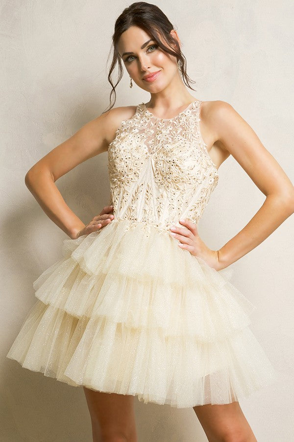 Sleeveless Embellished Top Tier Skirt Short Dress