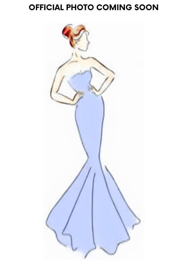 Sleeveless Embroidered Top Mob Sheath Dress