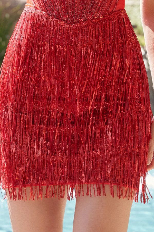 Sleeveless Fringed Waistline Homecoming Dress