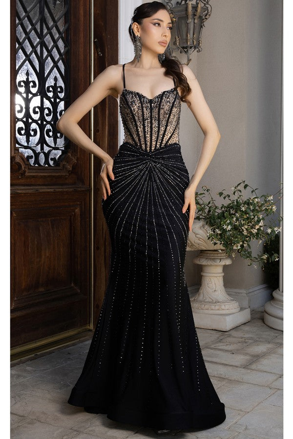 Sleeveless Embellished Illusion Top Mermaid Dress